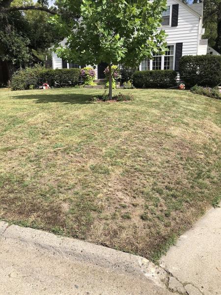 Quality Cut Lawn & Landscape