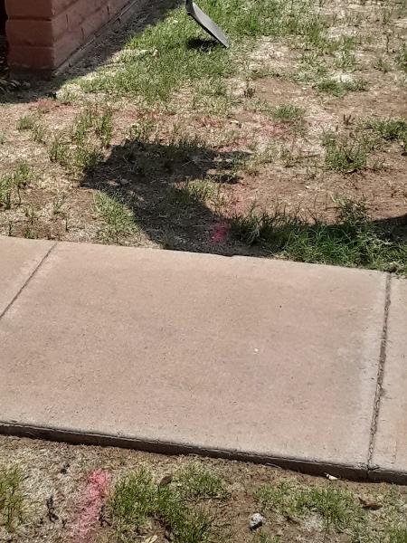 Mesa Plumbing Co