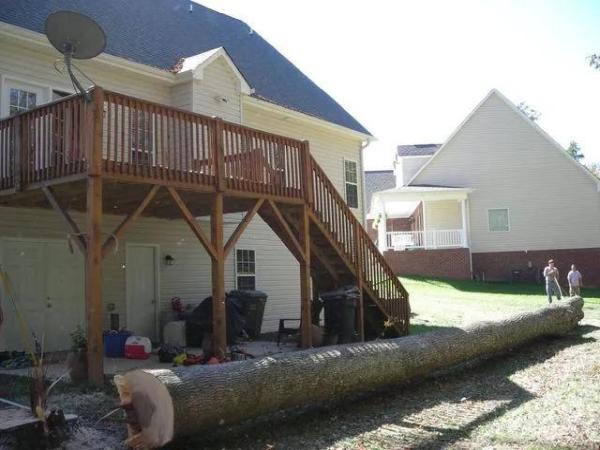 Affordable Tree Removals