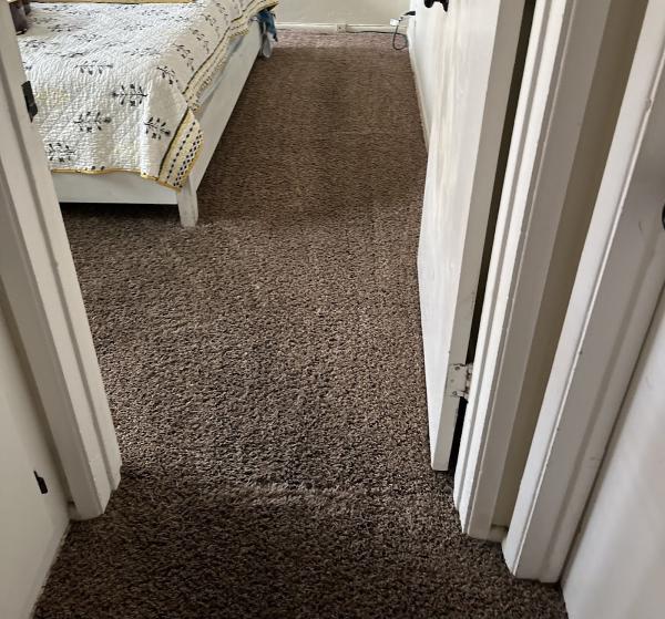 California Steam Team Carpet Cleaning & Janitorial Services