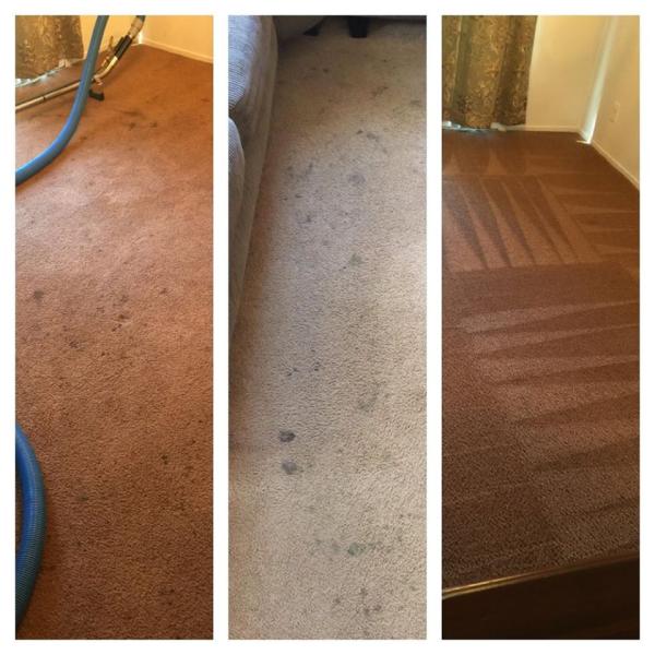 California Steam Team Carpet Cleaning & Janitorial Services