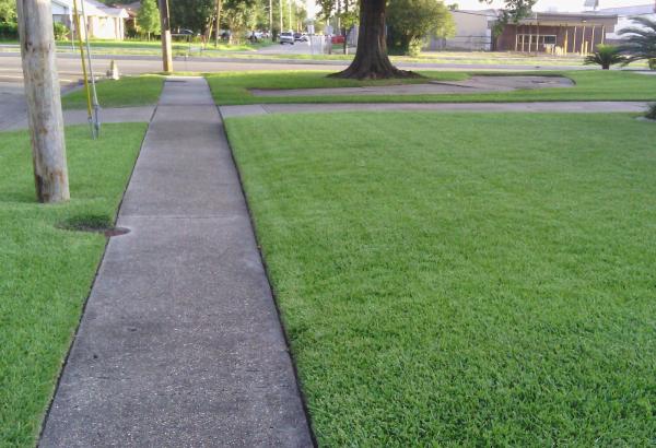 Dave's Lawn Care Service
