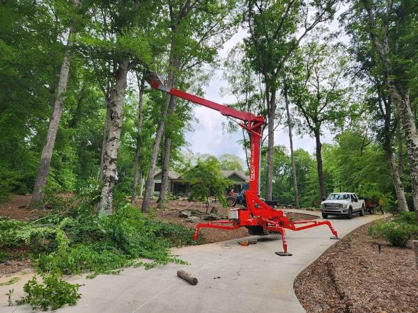 Friendly Tree Service Co