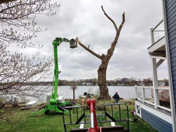 Lakes Forestry Tree Service