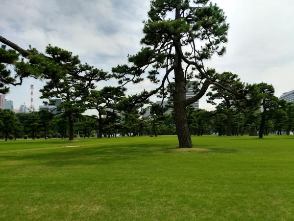 J J & J Landscape Management Inc.