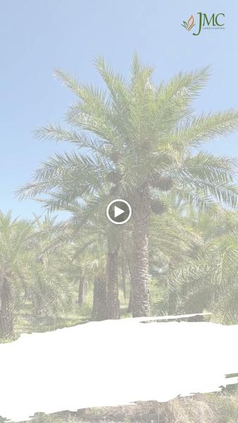 JMC Landscaping & Nursery