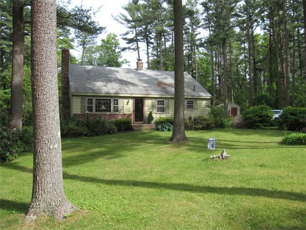 Cody Rohland Real Estate