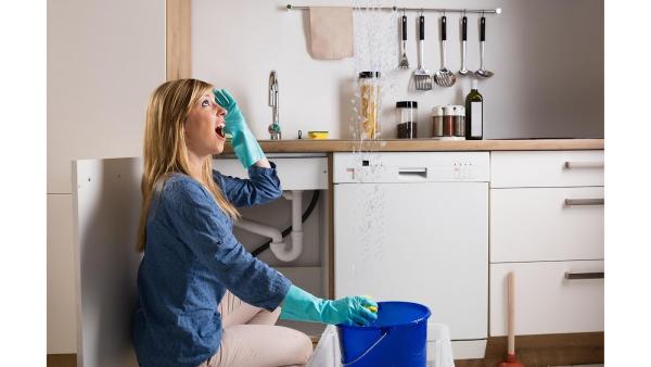 Water Damage Zone and Restoration