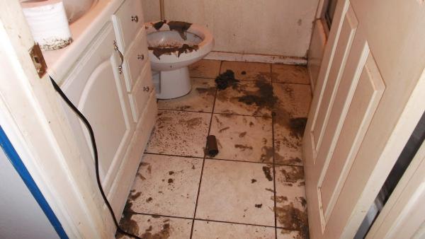 Water Damage Zone and Restoration