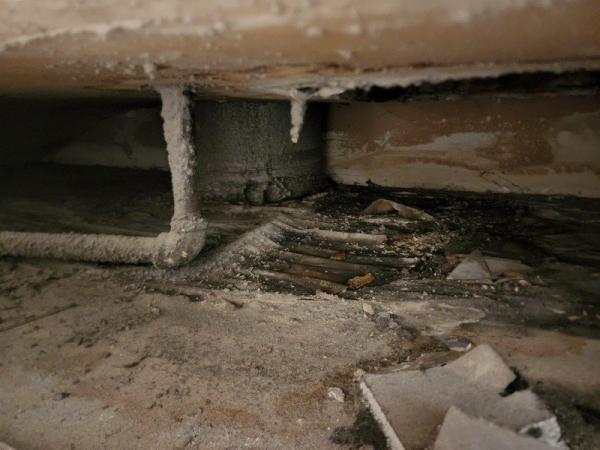 Water Damage Zone and Restoration