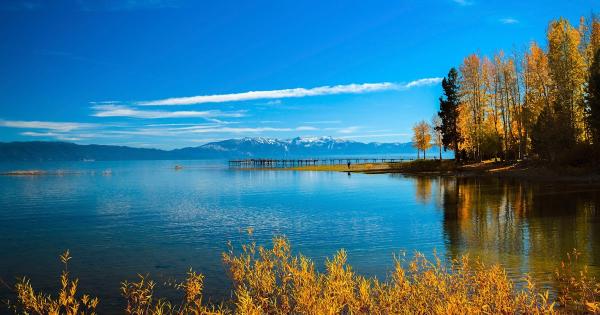 Tahoe Rental Company