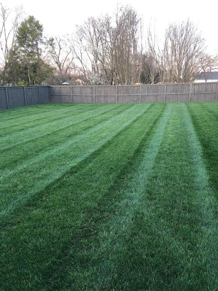 Local Mow