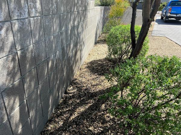 Rattlesnake Solutions Tucson