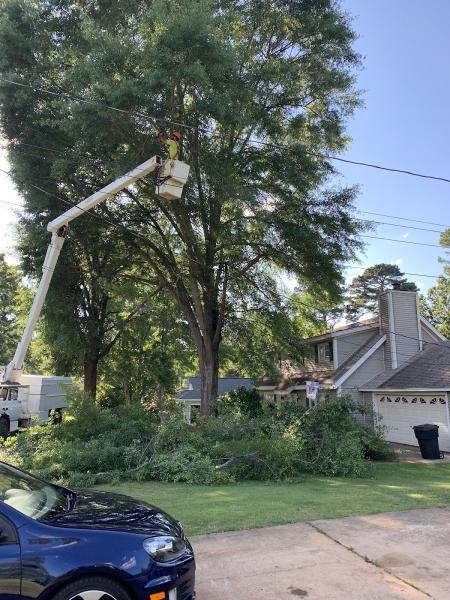 Timberpro Tree Service Llc.