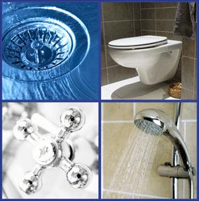 Thurston Plumbing