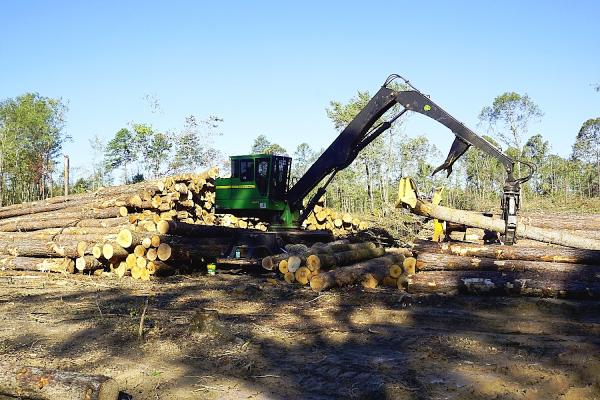 The Good Forty Land & Timber