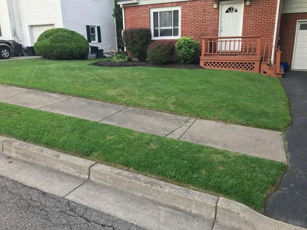 L&T Lawncare and Sealcoating