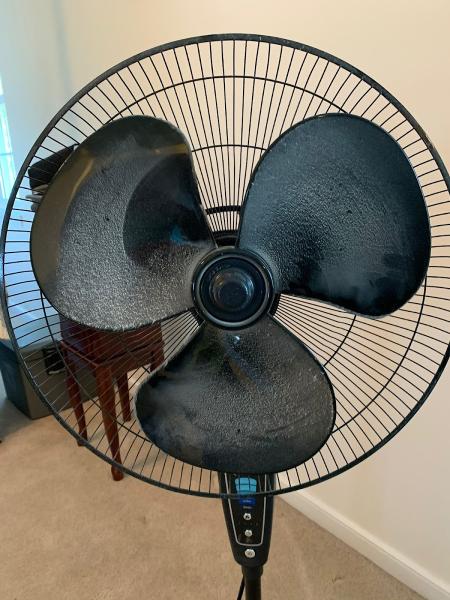 Pro Shine Cleaning Service