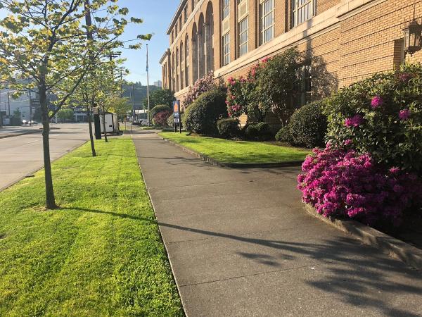 Mago Landscaping Services