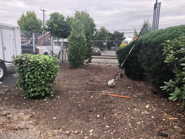 Mago Landscaping Services