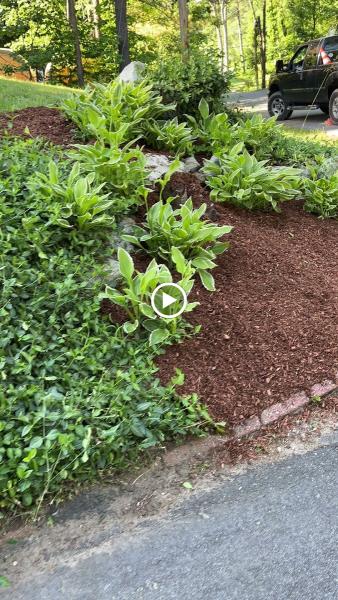 Fox Pro Landscaping
