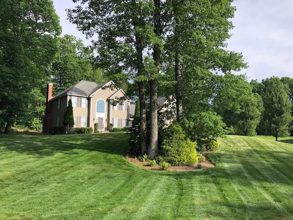 Fox Pro Landscaping
