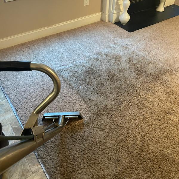 Reyes Carpet Cleaning Inc.