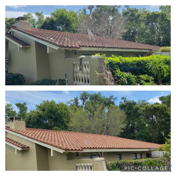 Jackalopes Pressure Washing Services