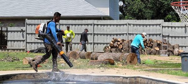 Valkyrie Tree Service