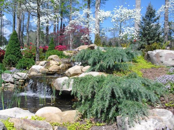 Georgia Natural Scapes