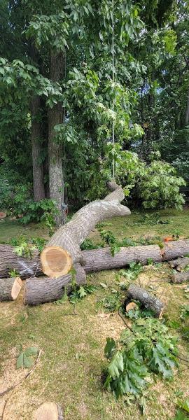 Dan Sly's Tree and Landscaping