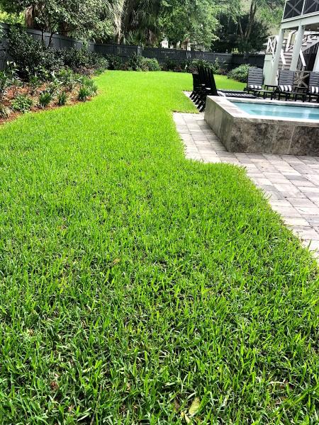 Covert Lawns