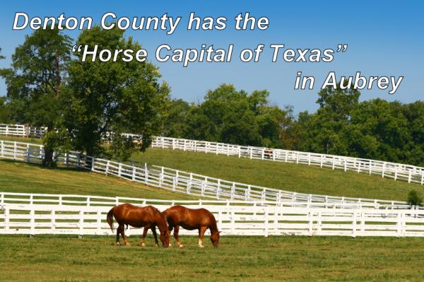 Wheelhouse Realty Team @ Post Oak Realty