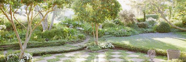 Schiller's Tree Service