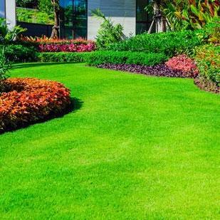 Lawn & Land Pros