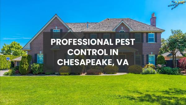 Hawk Mosquito & Pest