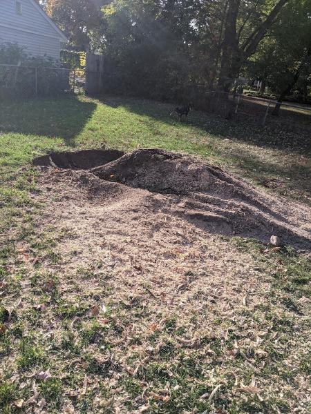 Golden Leaf Tree Service