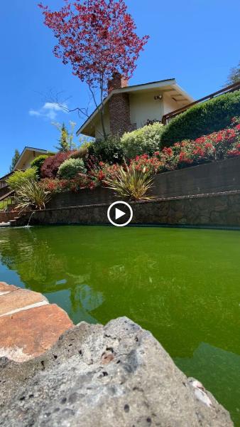 Ocean CC Pool/Spa Service and Repair