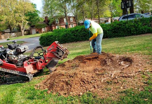 Juan Tree Services and Landscaping