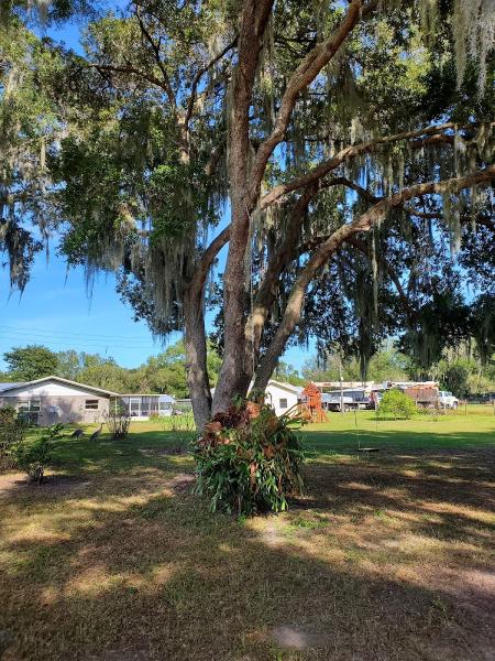 Joe's Tree Service Inc
