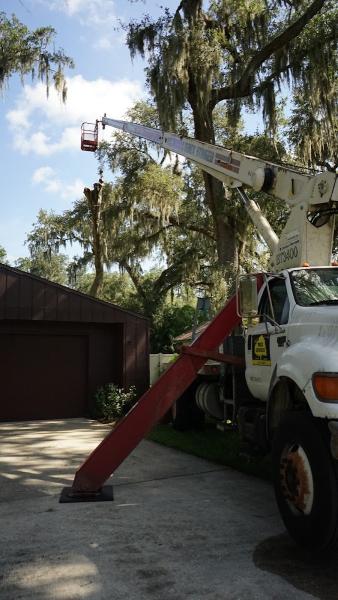 Joe's Tree Service Inc