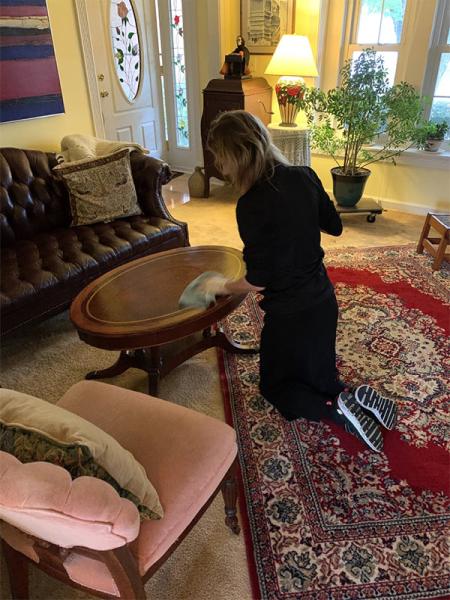 Platinium Force Cleaning LLC
