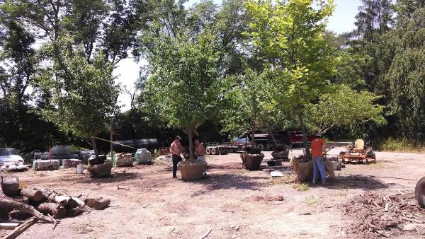 Lark Nursery & Landscaping LLC