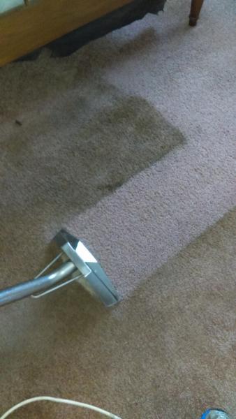 On the Spot Carpet Cleaning