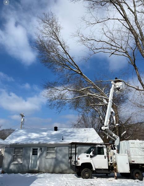 Magnolia Landscaping and Magnolia Tree Service