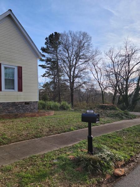 John Waldrop & Son Tree Service
