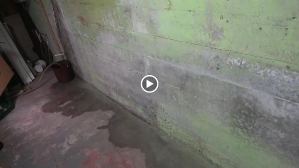 Reliable Basement and Drain