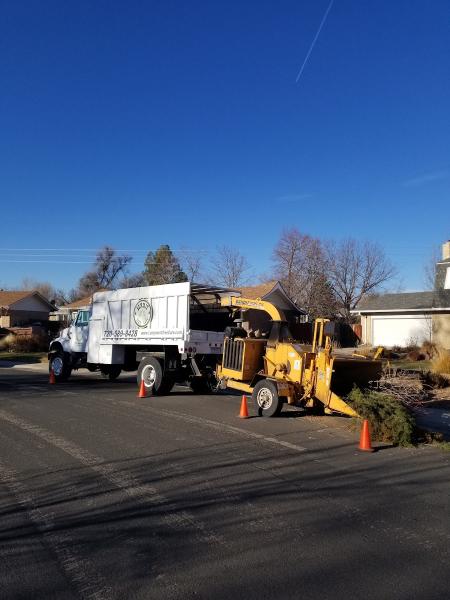 Summit Tree Care LLC
