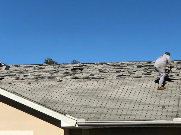 Florida Native Roofing