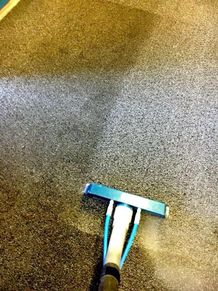 Father and Son Carpet Cleaning